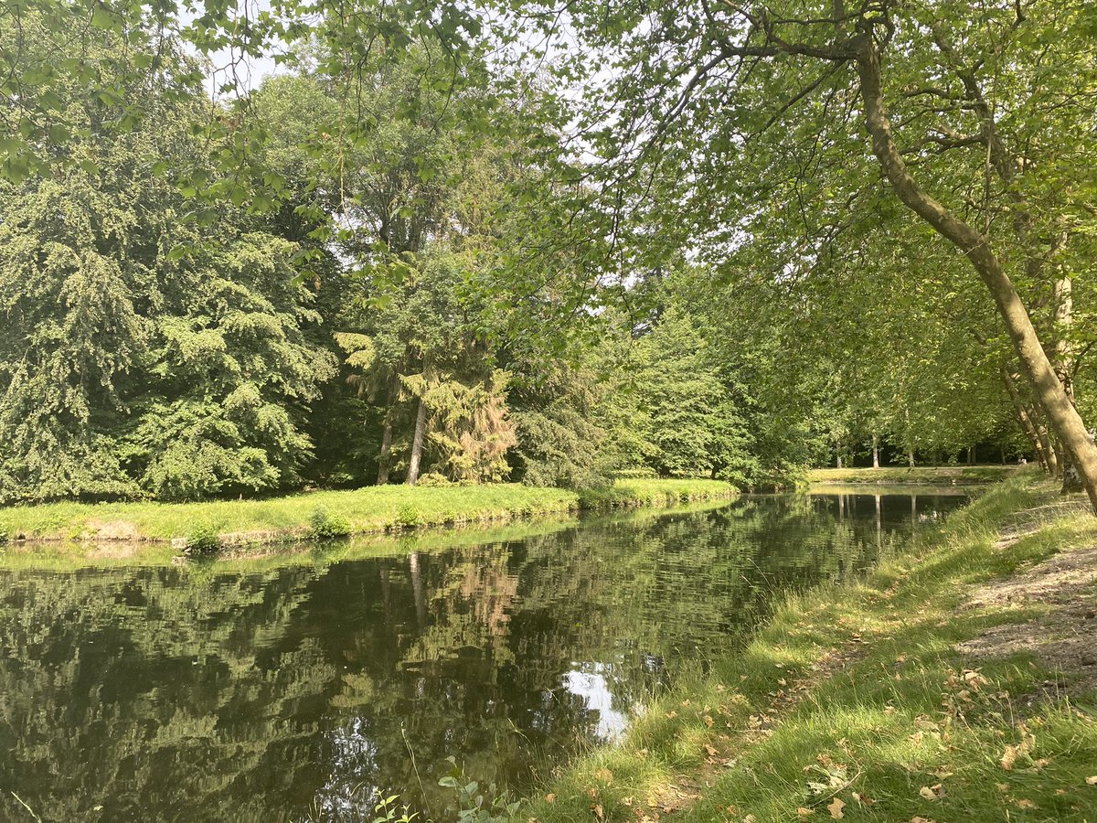 maelialc's tweet image. Après une semaine bien chargée, un repos bien mérité! 😊
Les épreuves écrites des bac GT et pro et la remontée du LSL semblent déjà bien loin! 😊
#perdir2022