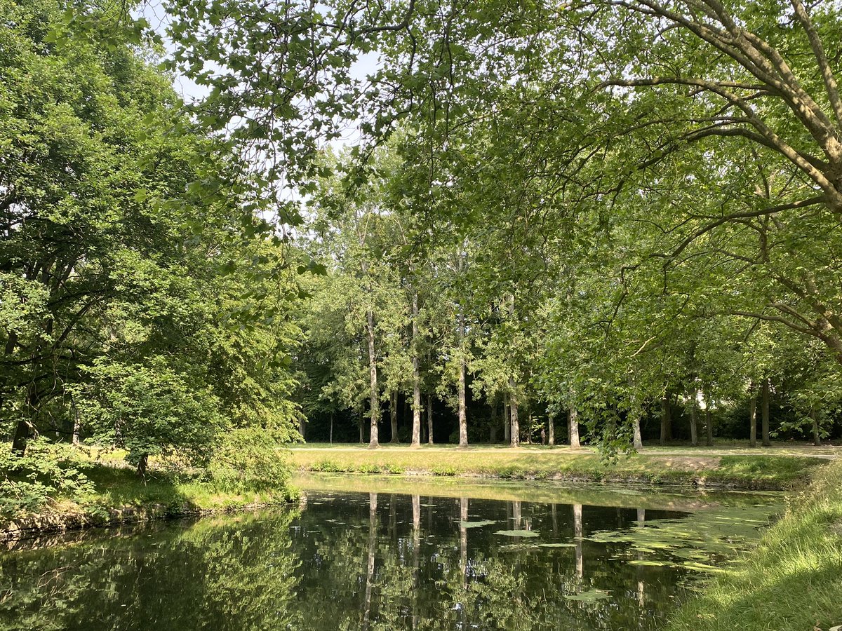 maelialc's tweet image. Après une semaine bien chargée, un repos bien mérité! 😊
Les épreuves écrites des bac GT et pro et la remontée du LSL semblent déjà bien loin! 😊
#perdir2022