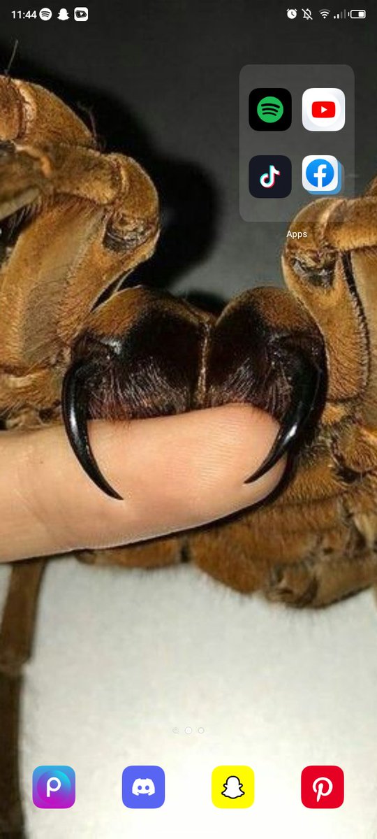 abandoned account, search for Zachary_het tweet media