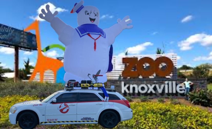 knoxbusters's tweet photo. Do you experience feelings of dread in your Zoo or habitat? If the answer is "yes," then don't wait another minute. Come to @zooknoxville and meet professionals..
Smoky Mountain Ghostbusters tonight at HEAR ME ROAR supporting @WaitingToHearTN at 6pm

WE’RE READY TO BELIEVE YOU!! https://t.co/8HY8LtCUR5