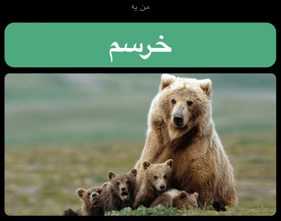 alipm725's tweet photo. جالب بود حیون درون من خرس هست🤣
شمام انجام بدین کوت کنید
ببینم حیون درونتون چیه

https://t.co/h29vfhLkzy https://t.co/jJ6l3bsrWc