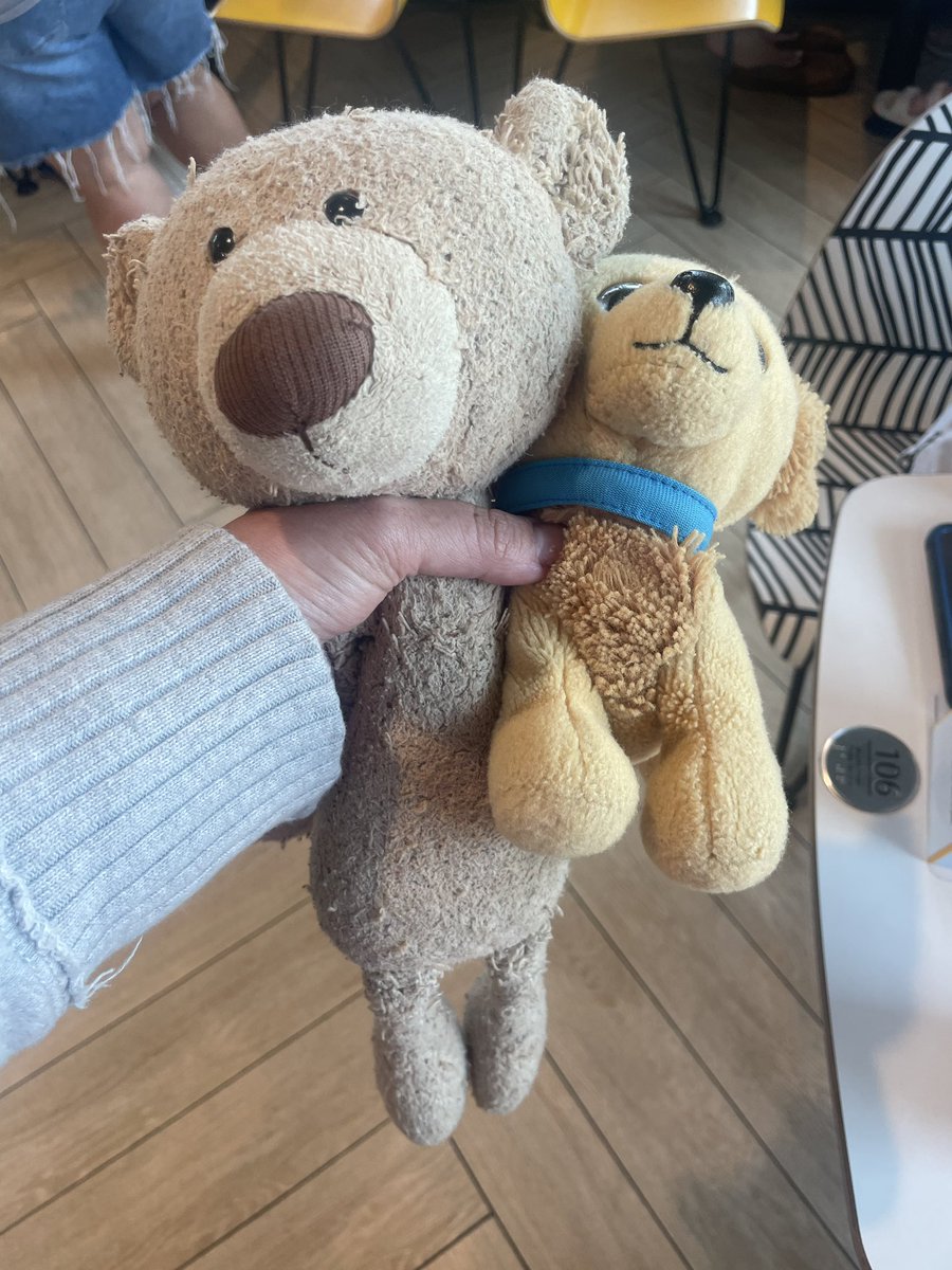 These lovies were found in the parking lot of a <a href="/McDonalds/">McDonald's</a> off of exit 77 on I-95 south in South Carolina. They have been left with the manager. Please spread the word to help reunite them with their owner.
