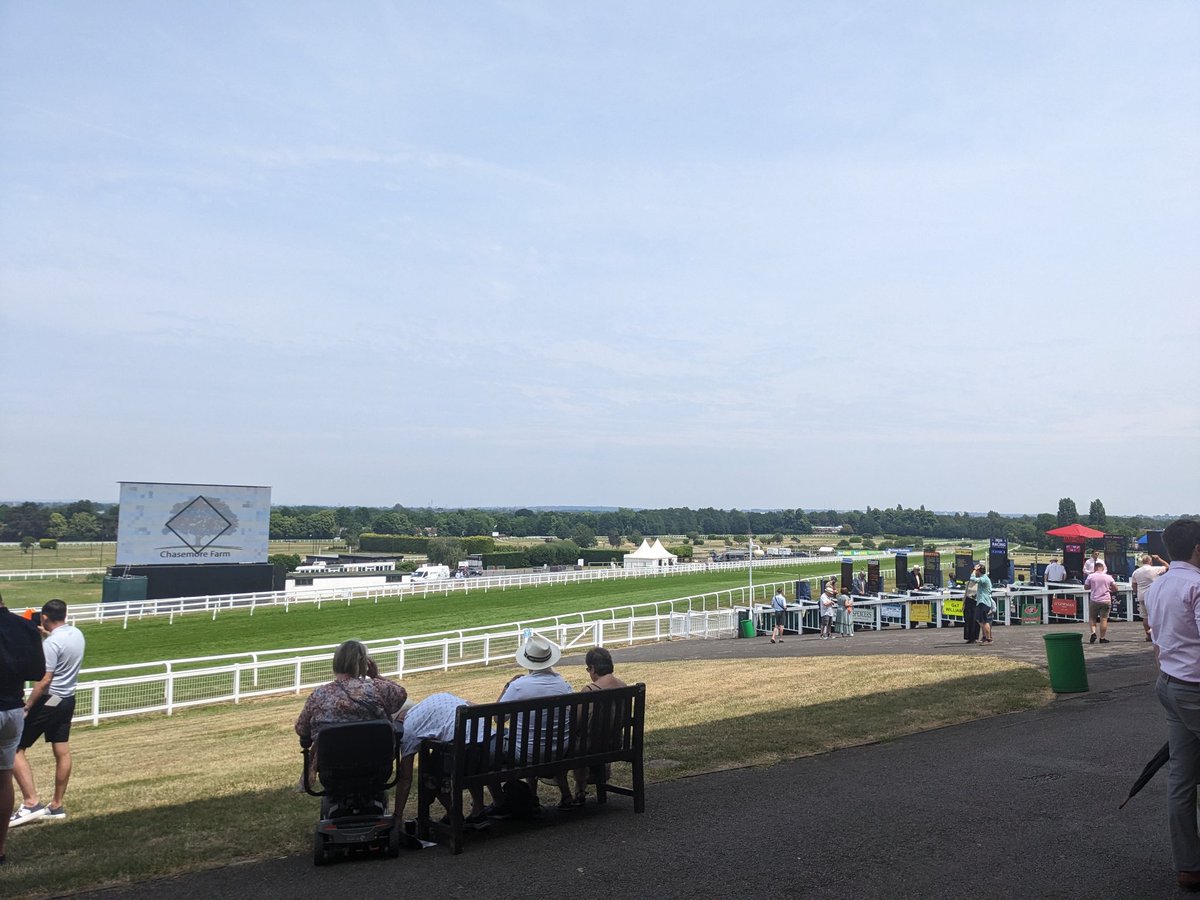 Spectacular Sandown (...with one eye on the cricket...)
Two amazing displays of two amazing sports 🏇🏏