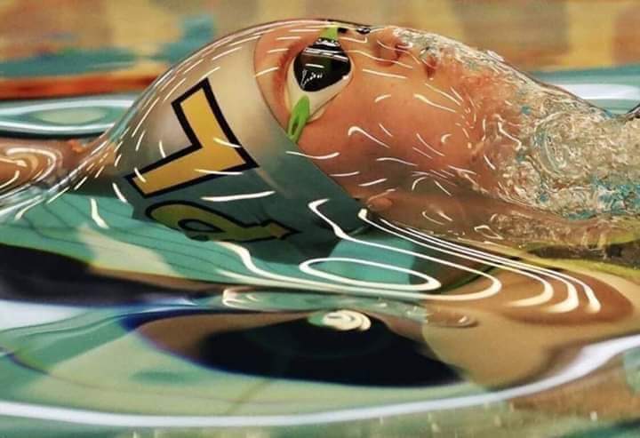 A picture taken at the time of the swimmer to show the surface tension of the water.