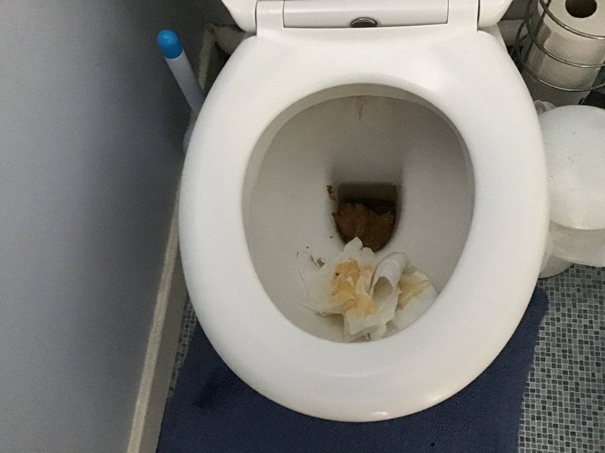 Toilet_Girl69's tweet photo. Just had a bottom blowout ๐ณ #needashit #girlshitting #nearlycrappedmyself https://t.co/uU95N7o4eK