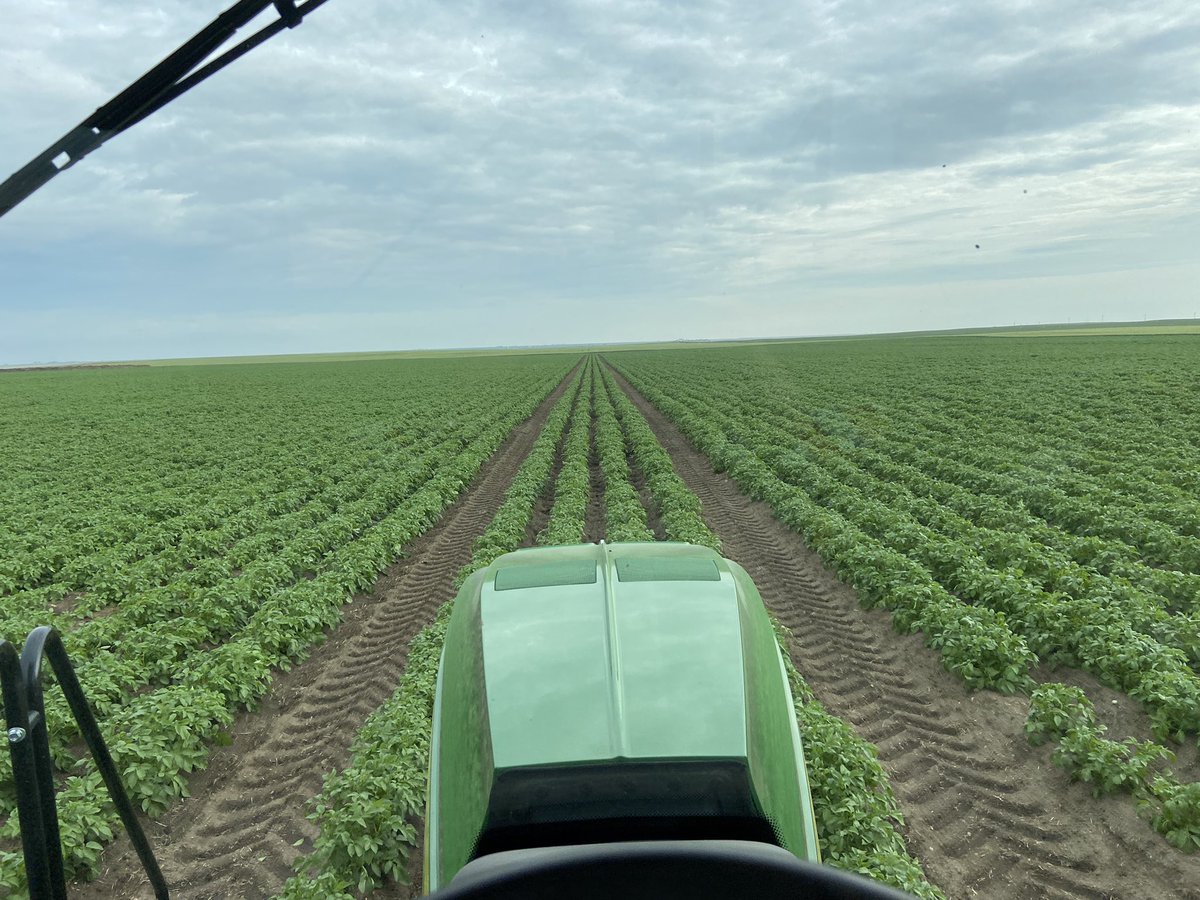 “Spoon feeding”  nitrogen to these potato’s. Splitting up nitrogen applications through the season reduces potential nitrogen leaching as well as N0x emissions. Good for the wallet and the environment, not to mention a fun job with great company!