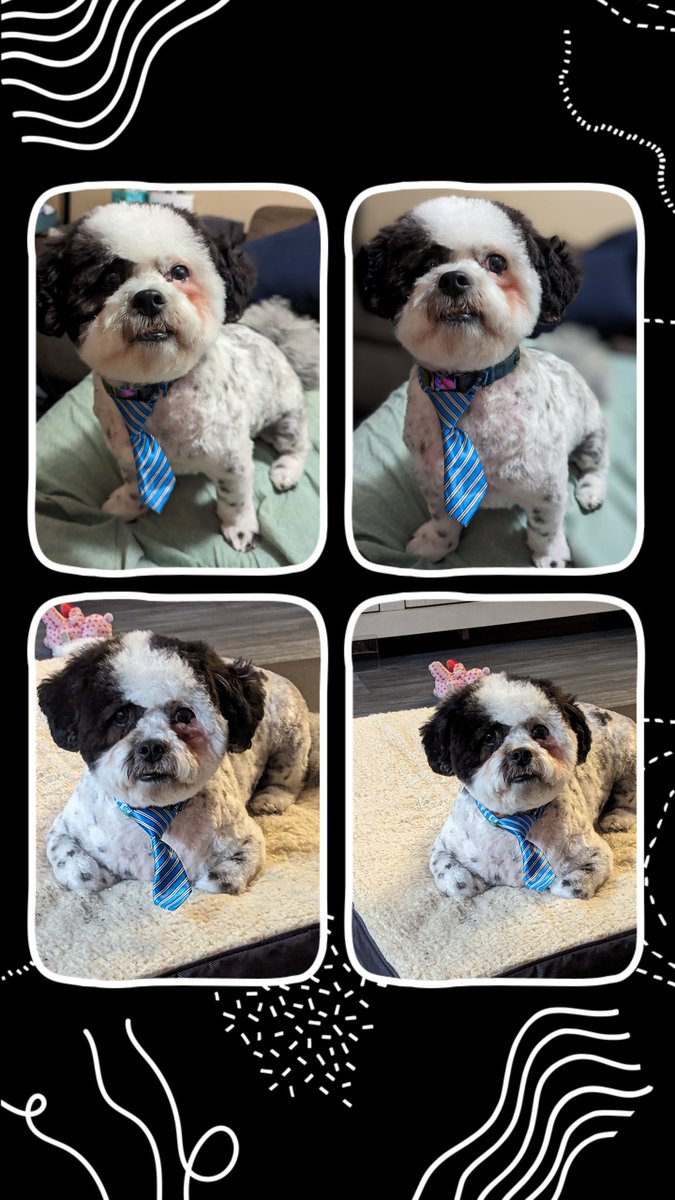 Got a haircut and they gave me a tie. Mom says I look so handsome!