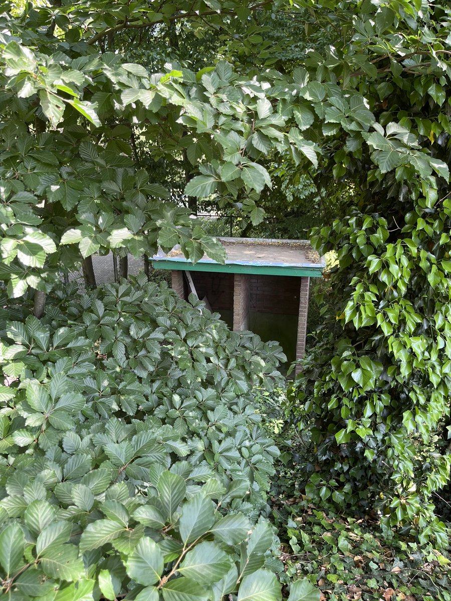 Mooie <a href="/Staantribune/">Staantribune</a> #Argentinië-dag in Argentijnse temperaturen op de prachtige Wageningse Berg ⚽️