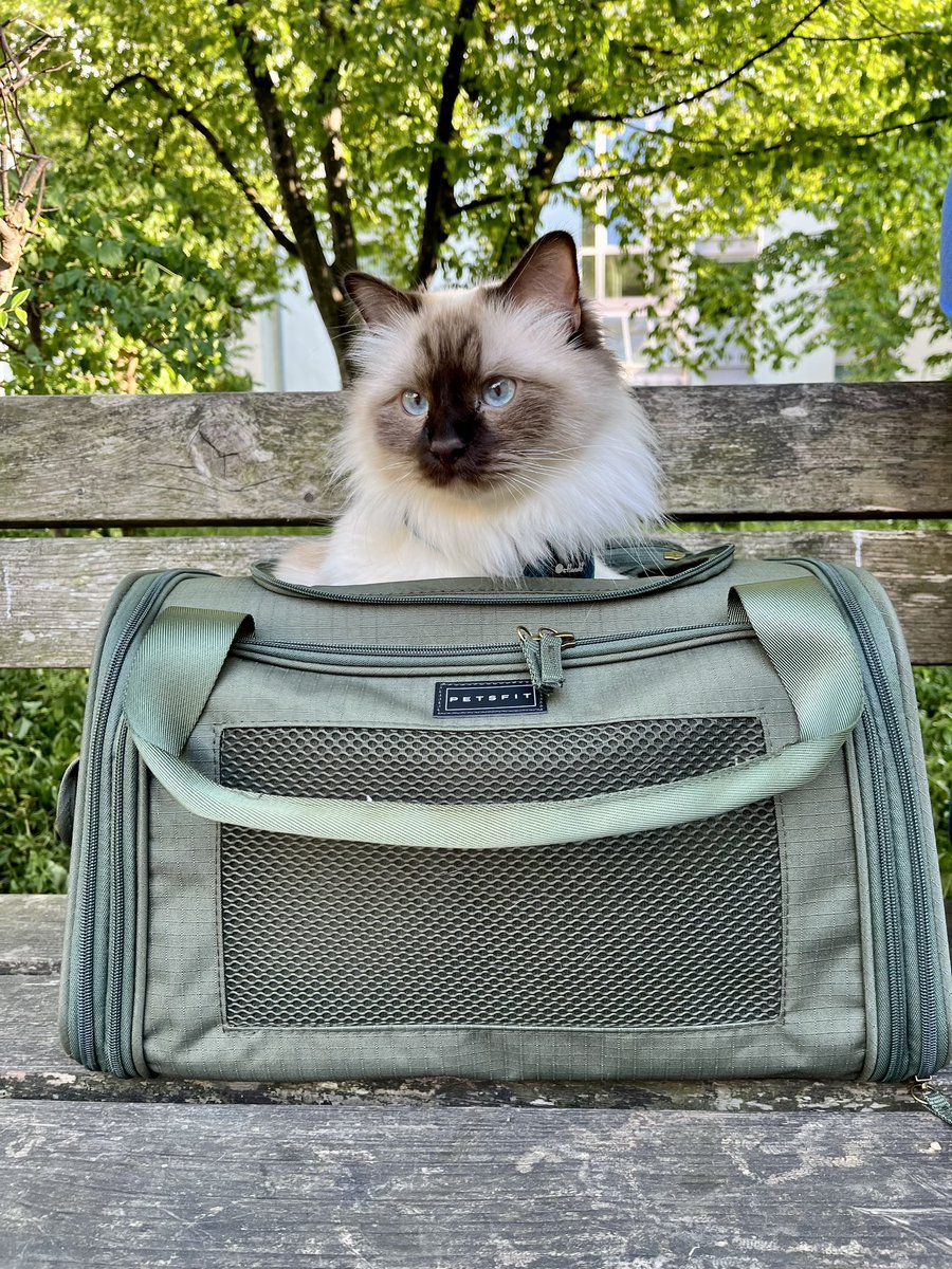 Lisa Davis tweet media