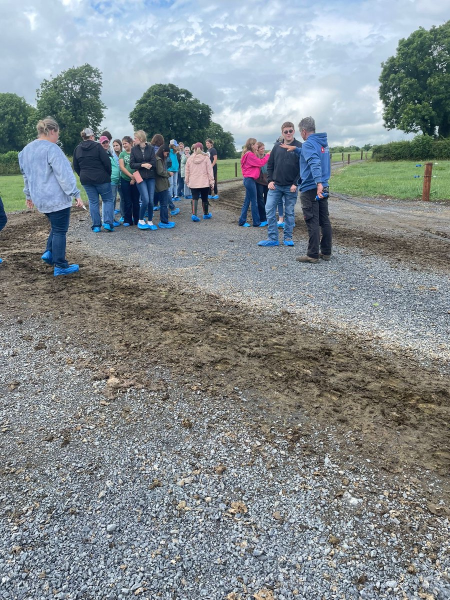 Noel Lynch tweet media