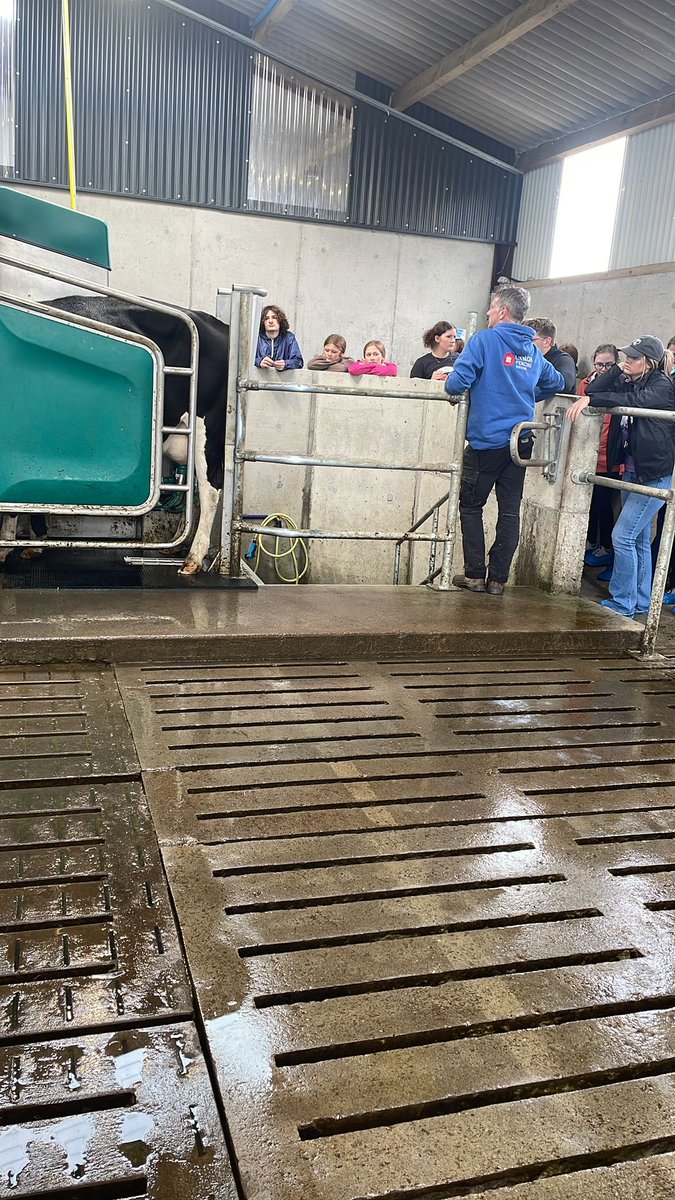 Noel Lynch tweet media