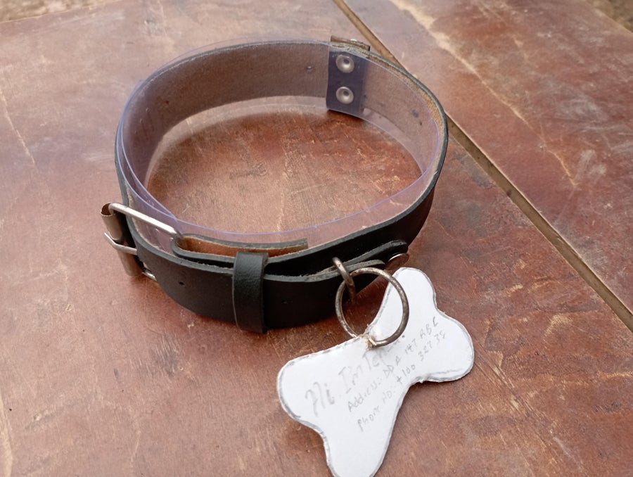 Turn an unused belt into a collar for your pet. #crafts #makeyourown  cpix.me/a/171787520