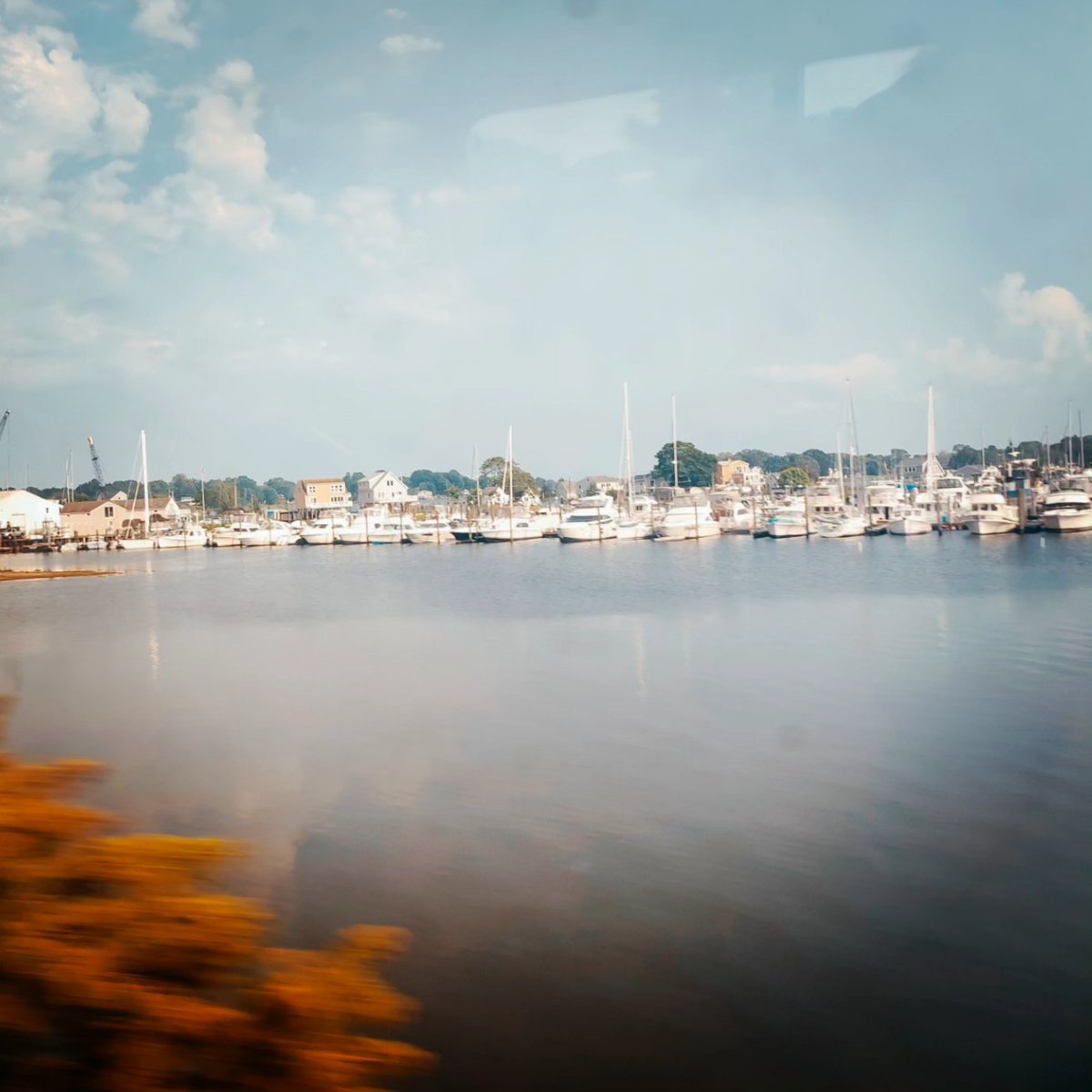 🇺🇲🚆 Letting the train take the strain en route from New York to Boston @Amtrak 

#TrainTravel #JourneyByTrain #TrainLife