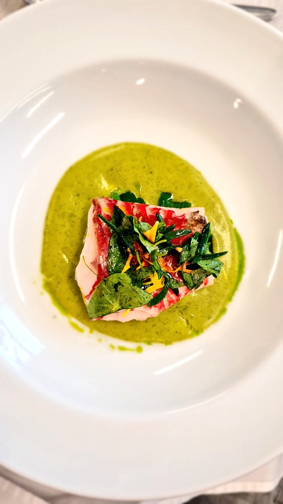 Balint Balazs 🐝 🌱 🌗 🥊 tweet media