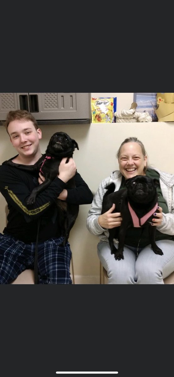 Our special senior girls went home together 🥰 They're joining a whole grumble of new friends to play with!

 #animalshelter #animalshelters #fpas #rescuelife #rescuedogs #rescuedog #shelterdog #shelterdogs #animalrescue #rescue #PleaseShare #dogsofinsta #foreverpawsfamily