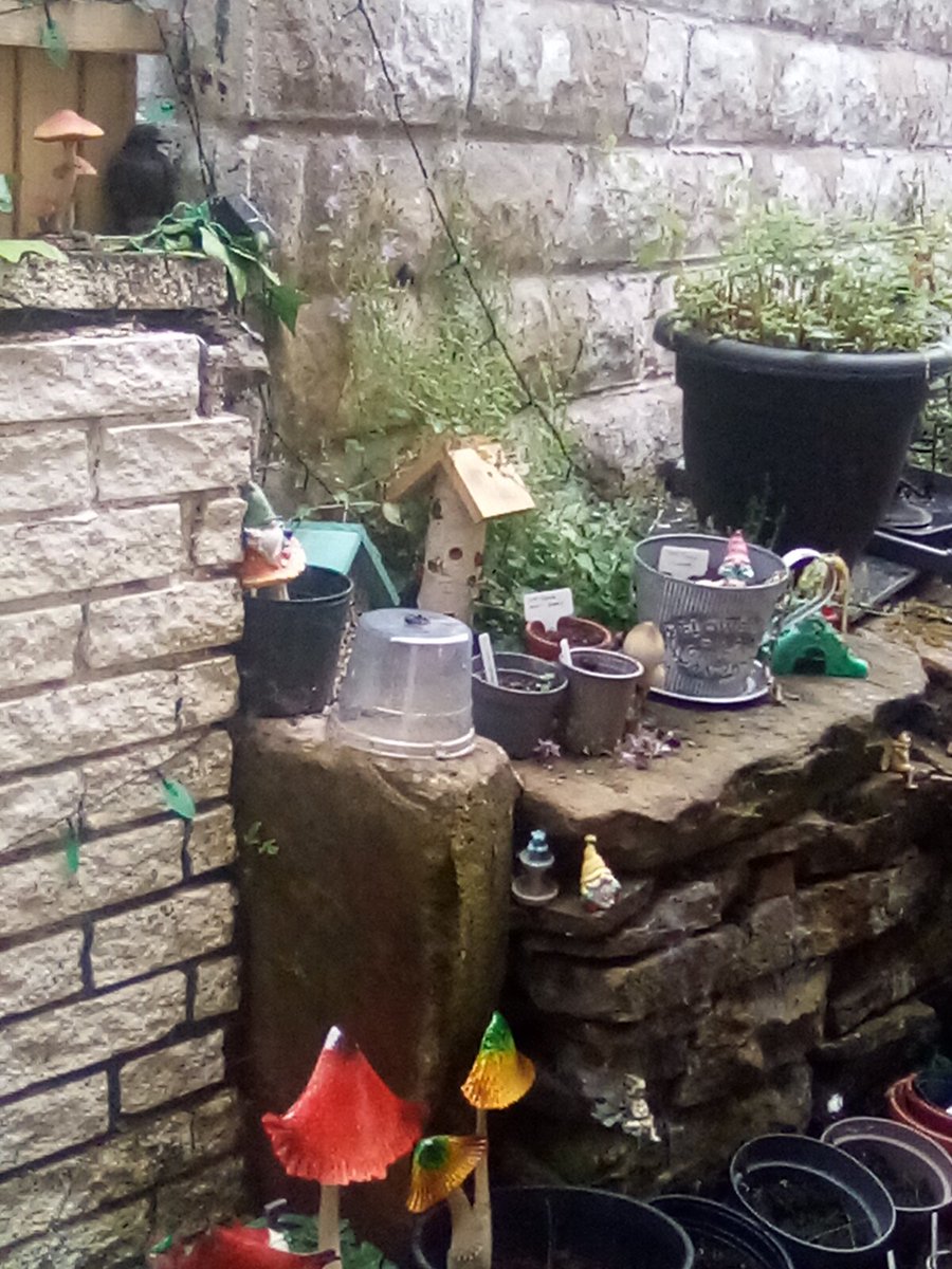 Happy Fairies in my back garden #TinyArea #fairyland 💘 #fairycam #fairyland 💘💘💘