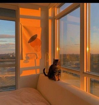 KiraBrookk's tweet photo. golden hour https://t.co/GDtnHMX2Sx