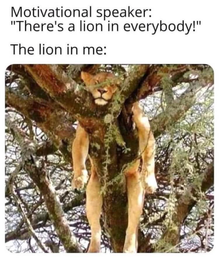 joannalinton2's tweet photo. 😂😂😂 so true ❤️ https://t.co/bkSi7lgaAo