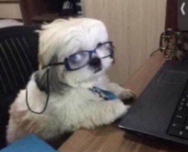 savannah on Twitter: "@Thealanawhite @netflix posting under a kids