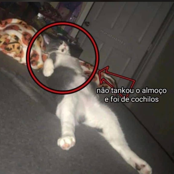 Rasg_23's tweet photo. Quem nunca? https://t.co/ibxNjQt9FH