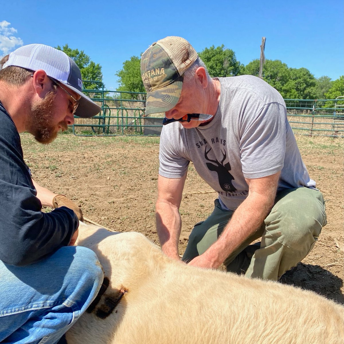 Gonna have another BL drinker.

Outdoor Edge Knives & Tools 

#everythingeichler #fulldrawoutfitters  #itsalifestyle #itsinmynature  #outdoors  #whatgetsyououtside #farm #farmlife #farming #ranch #ranching #cows #yellowstone #cattle #makethecut #cattlebranding #cowboy