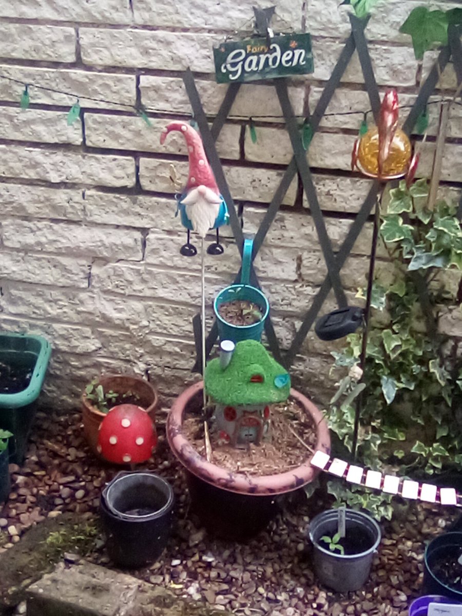 Happy Fairies in my back garden #TinyArea #fairyland 💘 #fairycam #fairyland 💘💘💘