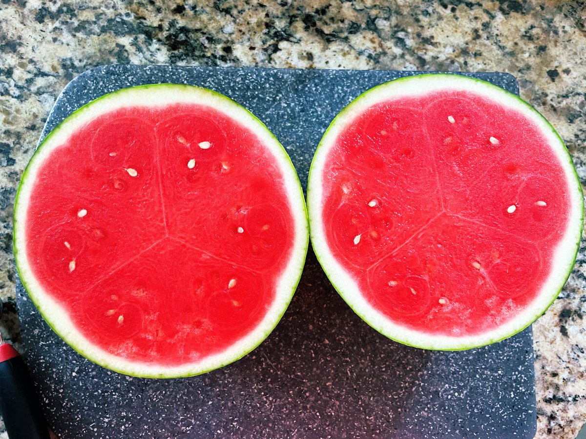 My math brain was activated when I cut this watermelon open. 🍉What do you notice? #iteachmath #mathiseverywhere