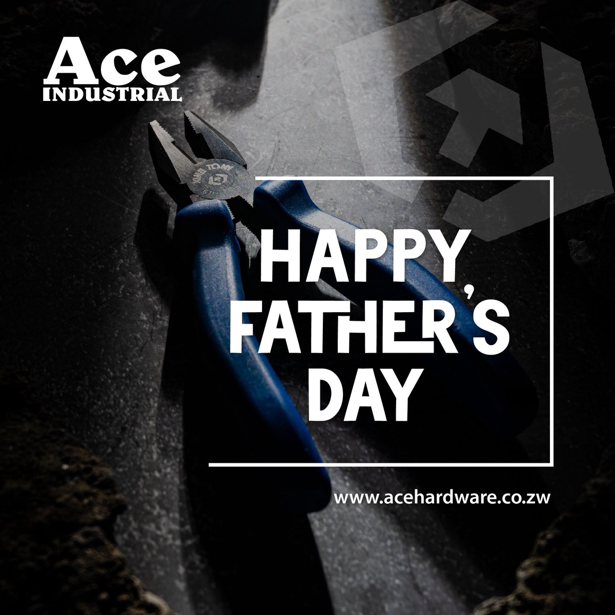 We wish you a happy Father’s Day. 

#acehardwarezim #aceindustrial #kingtonytools #toolsofthetrade #fathersday2023