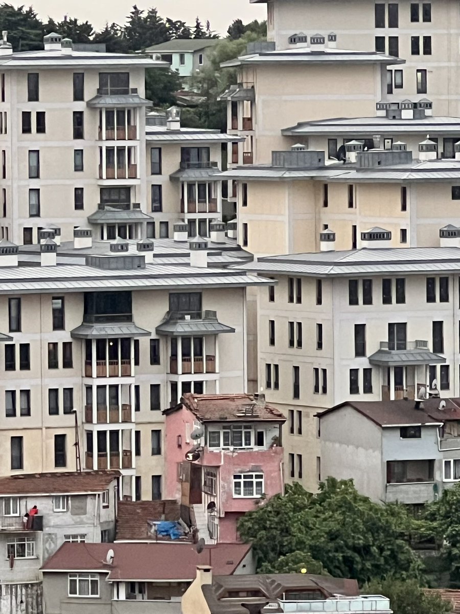 Kentsel dönüşüm. Kentli ve pembe köylü mü?