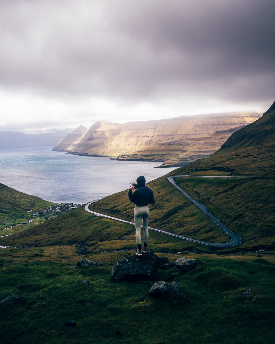 Nicole Zelkowitz tweet media