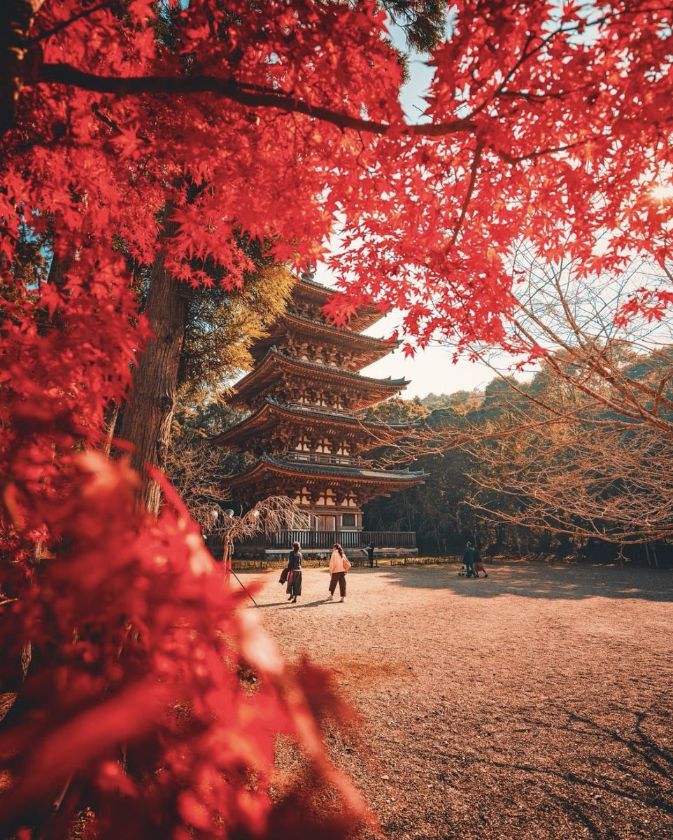 Kyoto, Japan 🍂