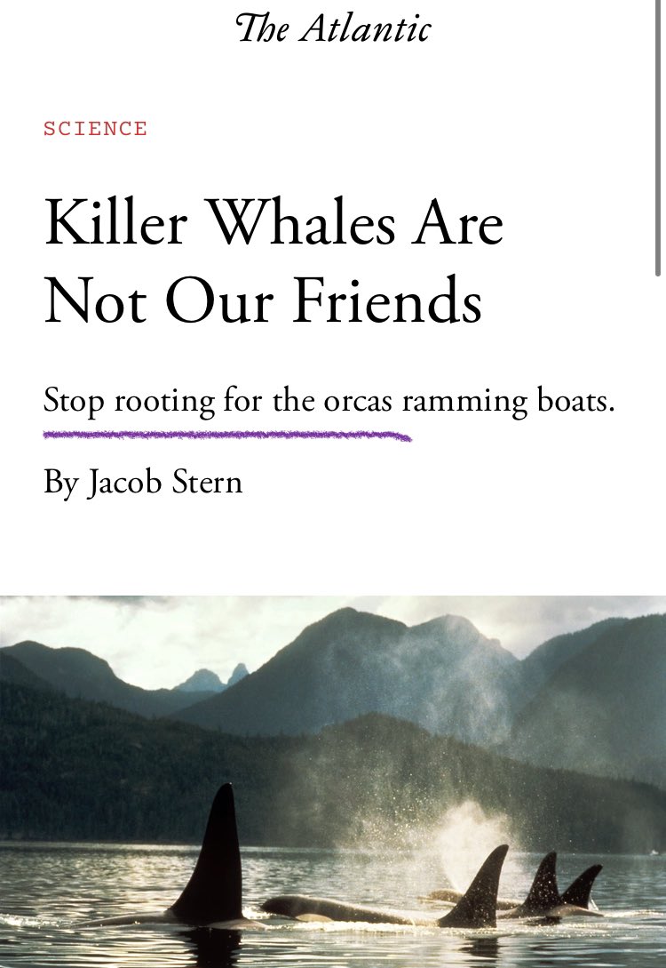 Lauren McKenzie tweet media