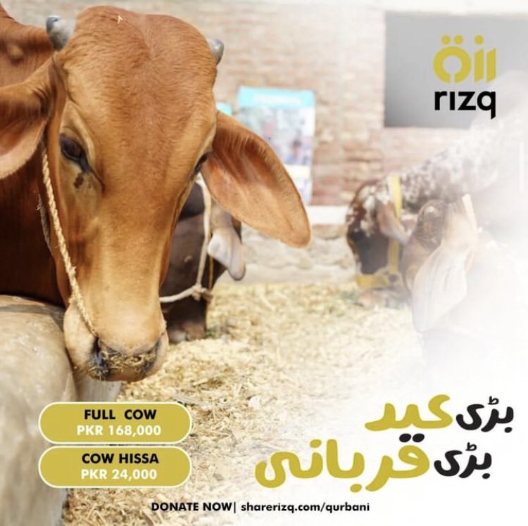 SubhanK07675277's tweet photo. Spread happiness and compassion this Qurbani. Join Rizq and be a source of joy for those in need. #qurbani2023 #barieidbariqurbani https://t.co/7dmxrFvhT3