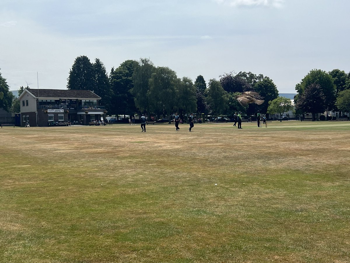 Today’s office: Away Cardiff 1st XI v  Ammanford 1st XI (50 ovrs)
(1ST TEAM DEBUT) 
@cardiffCC 216 all out
Scored 23 caught 

@AmmanfordCC 238-7
Bowling 0-13 off 4
1 run out 

@awcoachinguk @ajhCricket @ArezCricket @cardiffCC #WGWillow #cricket #cricketer  #cricketworld