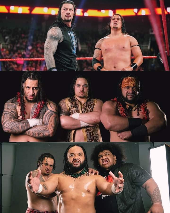 Roman Reigns could bring 4 Anoa’i family members into The Bloodline after The Usos' betrayal! 

I can see Jacob Fatu coming and joining Roman