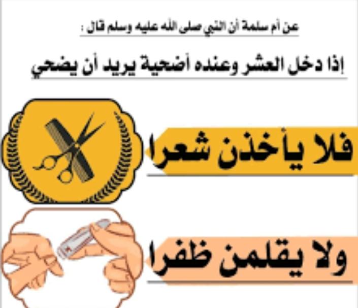 هديل القاضي🇾🇪🇵🇸 ✌️𐩠𐩵𐩺𐩡 𐩱𐩡𐩤𐩱𐩳𐩺 tweet media