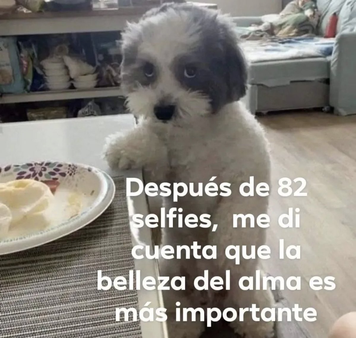 piña sin pizza tweet media