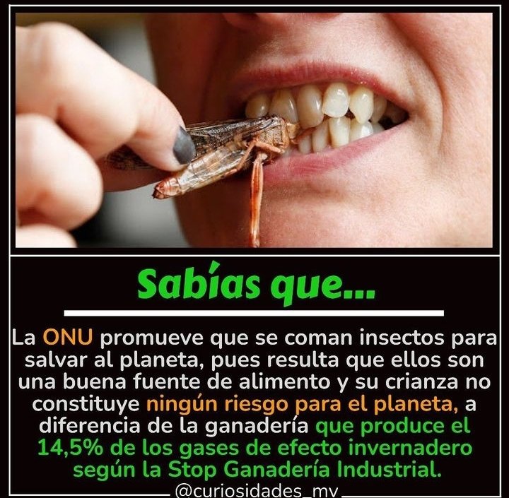 ...calcula con todos los bichos que me comí el planta debe estar salvado...