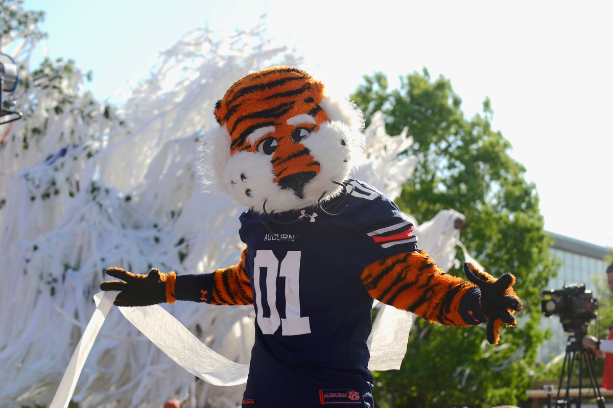 Happy national mascot day to the undisputed No. 1 in the country! 

#WarEagle x #NationalMascotDay