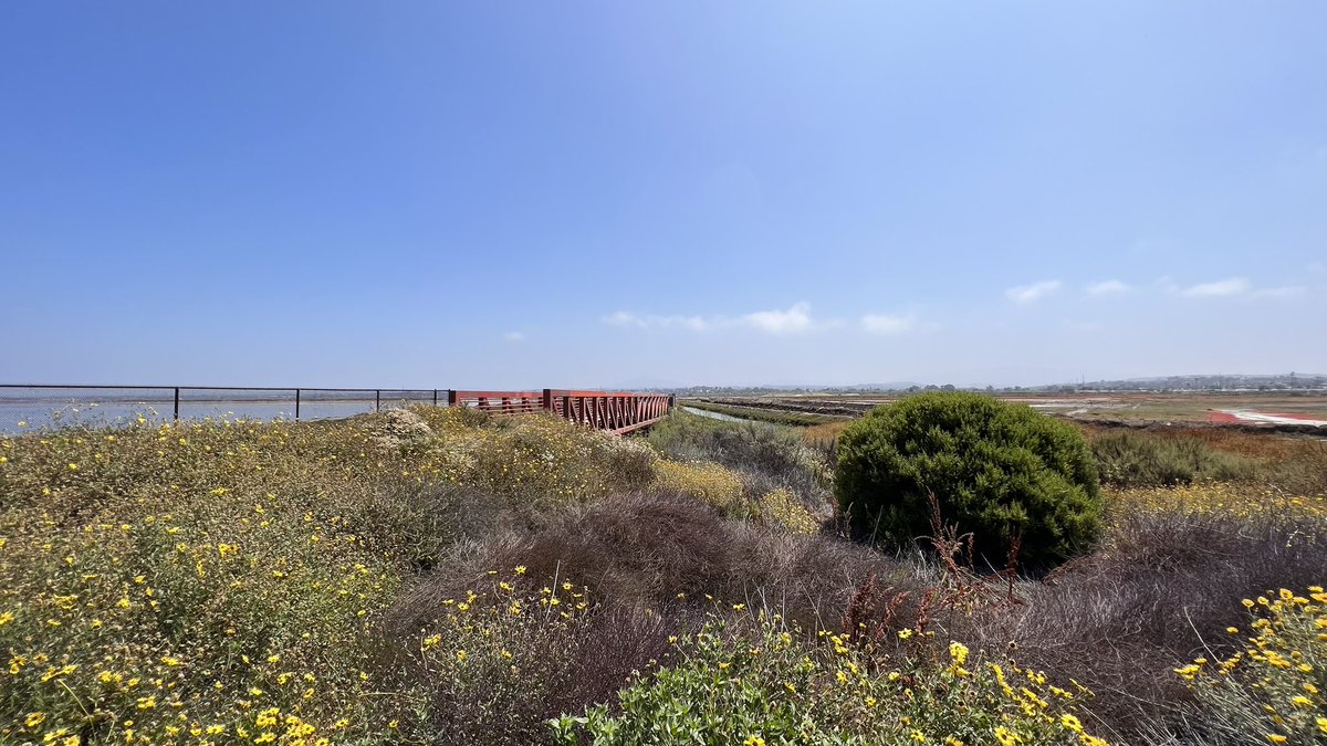 AaronNabus's tweet photo. Morning 4 mile walk…done!
Hope you get a chance to be active today!
Think I might get more steps and enjoy the San Diego sun! ☀️
#ComicConFit #GoMoveToday #Walk #Walking #SanDiego #SunnySanDiego #ImperialBeach #SilverStrand https://t.co/AgIUeNJEcM