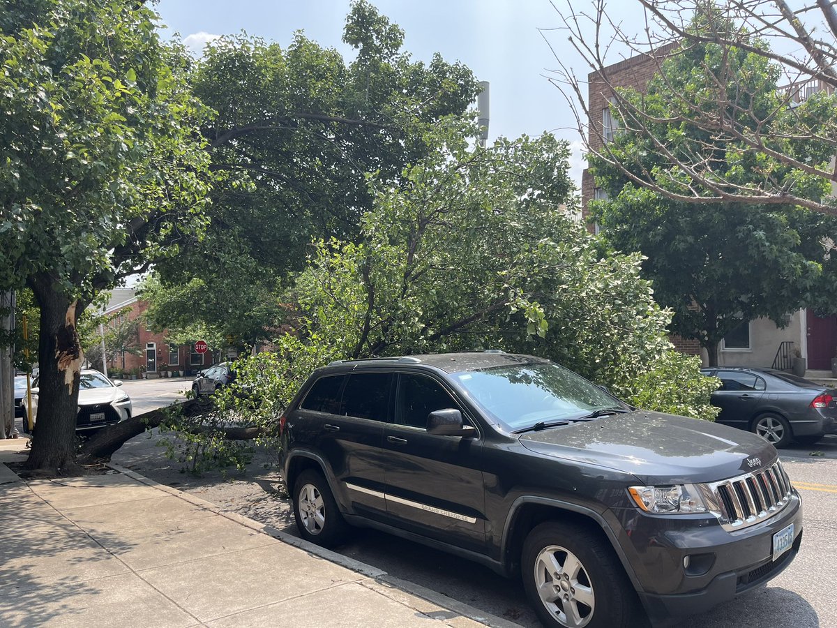 yellingattrains's tweet photo. @Zeke_Cohen how many city owned trees need to randomly fall down before @RecNParks gets funding to perform proper maintenance? @wbaltv11 @WMAR2News @baltimoresun @BaltimoreBanner https://t.co/Pe6mU09G0S