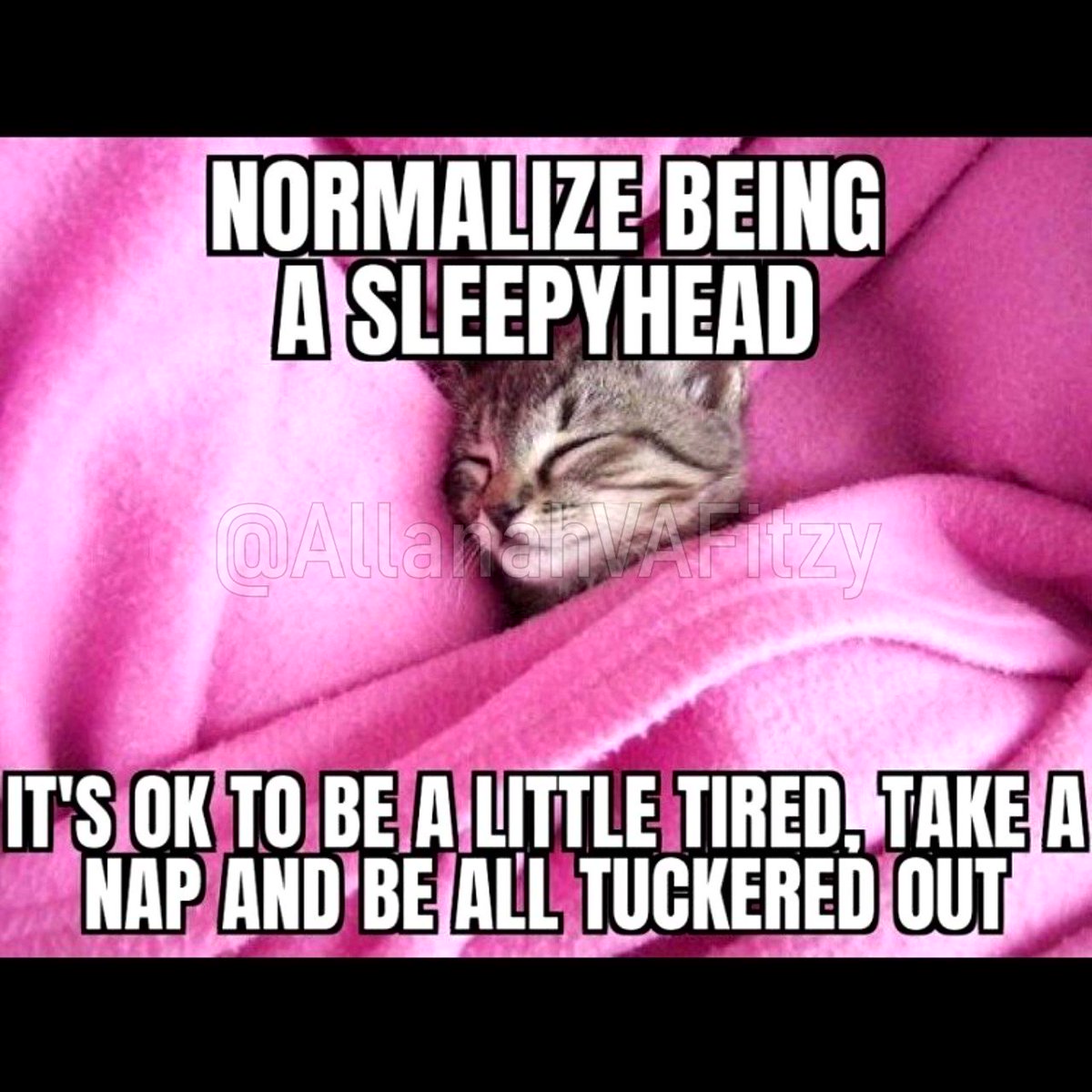 DeLannoyReal's tweet photo. @sillycatgirlnya https://t.co/oE4A9MH97h