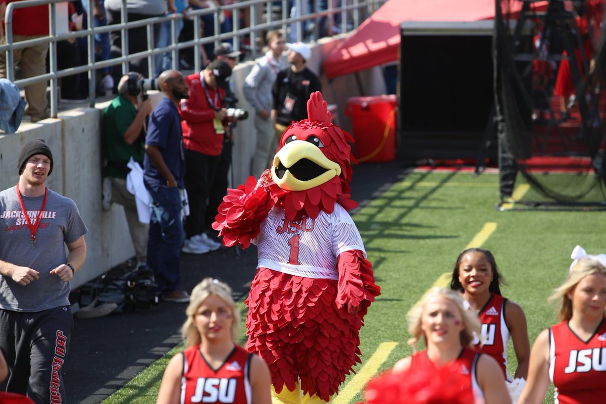 Happy National Mascot Day, Cocky!