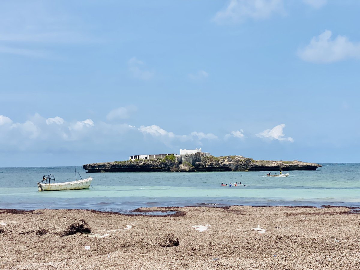 Jamila Hagi tweet media