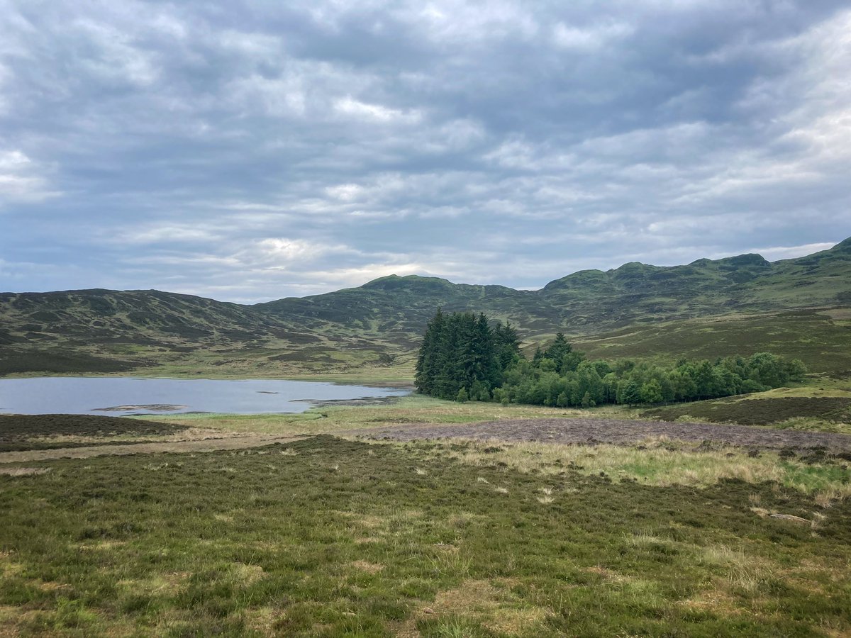 watwilts's tweet photo. Celebrating our first anniversary 🥰with @TheRebeccaRiots with a landrover safari above Loch Tay. Thanks for an amazing year ❤️❤️ https://t.co/XJaqEctmw2