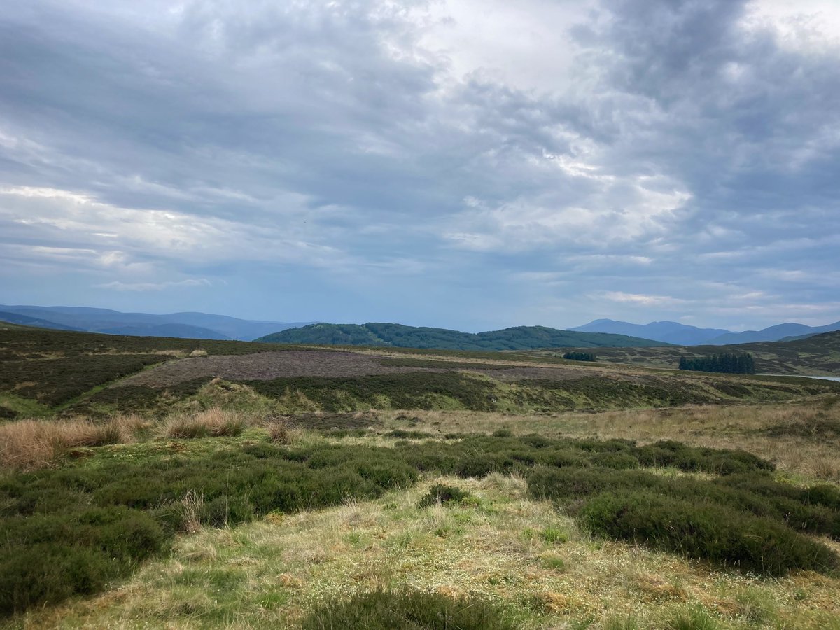 watwilts's tweet photo. Celebrating our first anniversary 🥰with @TheRebeccaRiots with a landrover safari above Loch Tay. Thanks for an amazing year ❤️❤️ https://t.co/XJaqEctmw2