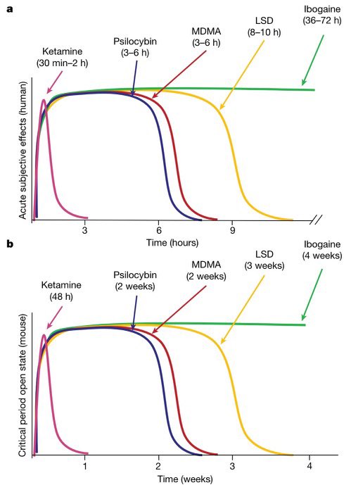 Wtf new article in nature shows psychedelics can reopen developmental windows that close after childhood