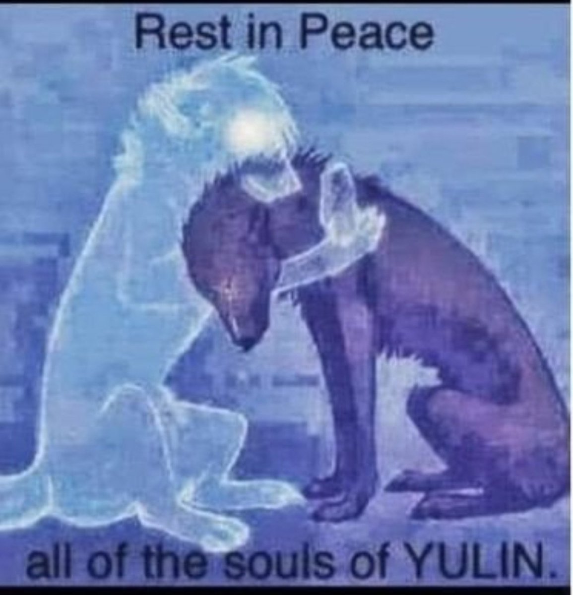 😔🐾💔
#Yulin2023
#Yulin