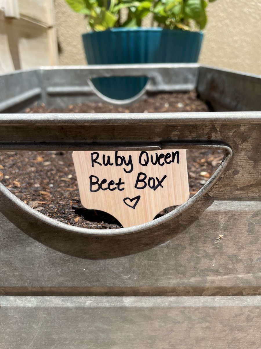 Gardening can be punny 😂👩🏻‍🌾 

#vegetablegarden #containergardening #beets #beats