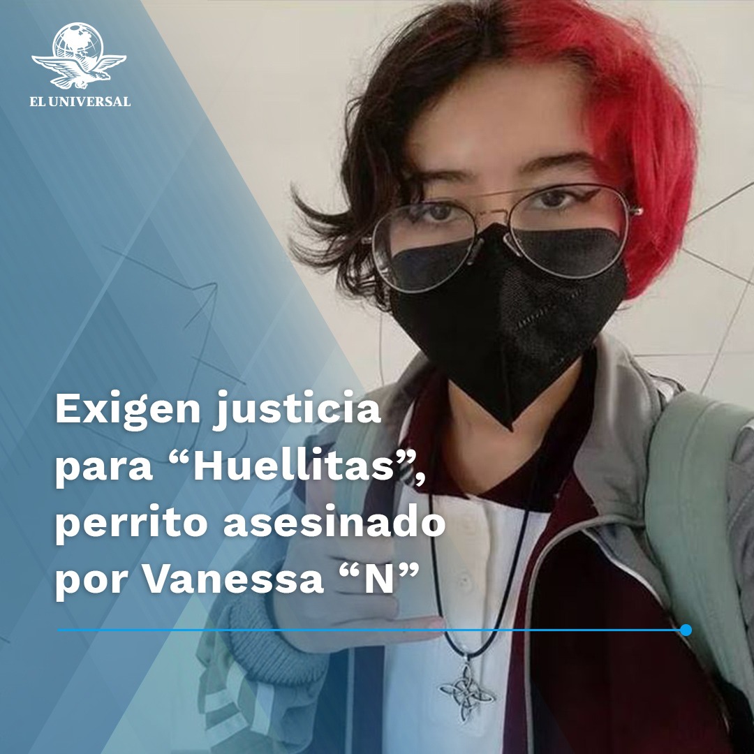 🤬 ¡JUSTICIA! Exigen que Vanessa "N" mujer que torturó y asesinó a un cachorro sea detenida; autoridades ya señalaron que tendrá que pagar las consecuencias de sus acciones

eluniversal.com.mx/estados/exigen…